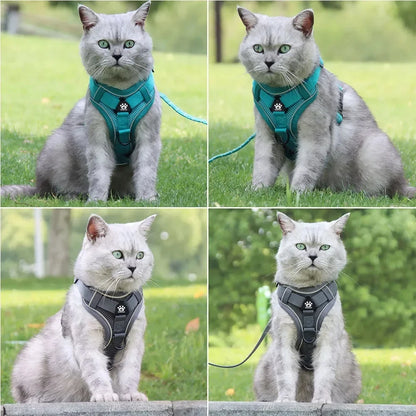 Dog Harness with 1.5M Traction Leash Set No Pull Dog Vest Strap Adjustable Reflective Breathable Harness for Dogs Puppy and Cats